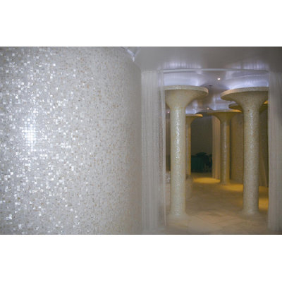 SeaTile 1" x 1" Seashell Grid Mosaic Wall & Floor Tile