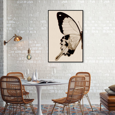 Animaux, papillon sépia I, insectes - Impression sur toile