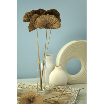 Champignons séchés