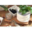 Normandy Wood Riser Footed Tray, Medium