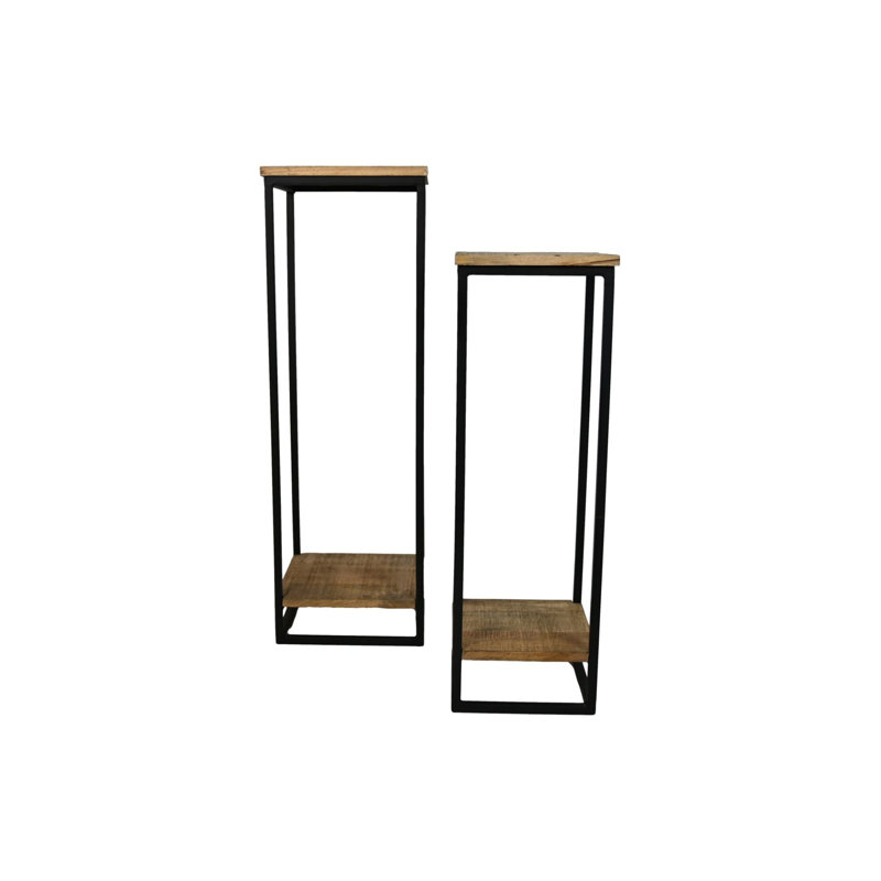 Alexx Plant Stand - Set of 2