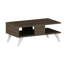 Carlos Coffee Table With Storage Space