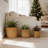 High quality ceramic flowerpot