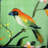 44X25x38" Vesta Bird Collage Print Settee