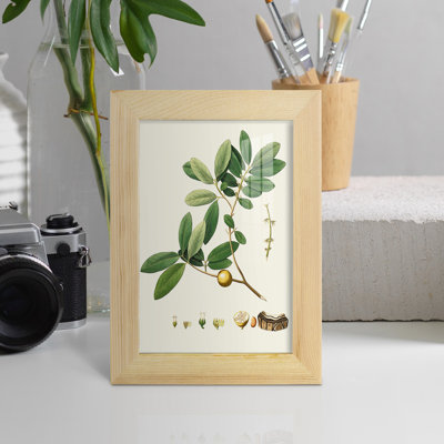 Spring Green Foliage VII - Single Picture Frame Print