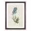 Illustration of Blue Wildflowers - Picture Frame Painting Print-55579554-55579559