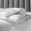 Kaiser Goose All Season Down Comforter-57290112
