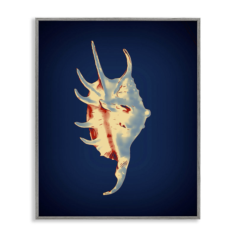  Spider Conch on Blue White Framed Giclee Art by Graffi*tee Studios, Estampe numérique Farmhouse, H 14 po x l 11 po