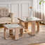 Ensemble de tables basses Modern