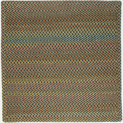 Lillyana Indoor / Outdoor Rug