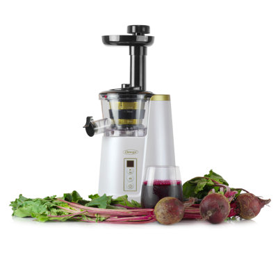 Omega Cold Press 365 Compact Masticating Vertical Juicer