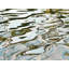 Water_6610 Print by Rica Belna-65852419-83319103