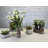 Silk Crocus Arrangement-38440343