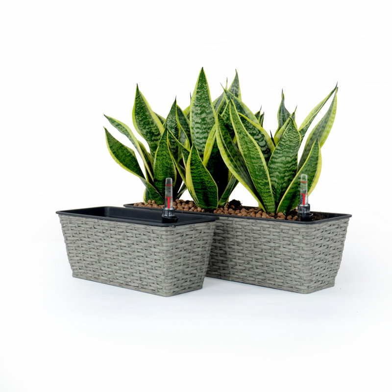 2-Pack Smart Self-watering Rectangle Planter, Gray