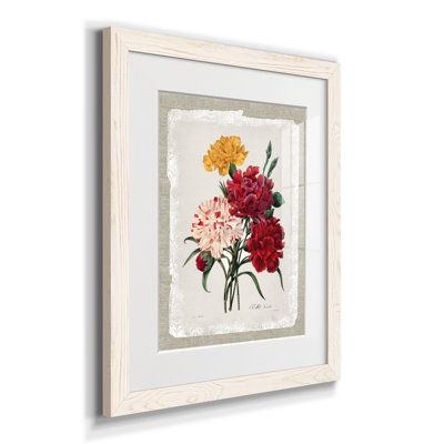 Botanical Bouquet Carnations - Reproduction d'art sur papier encadrée