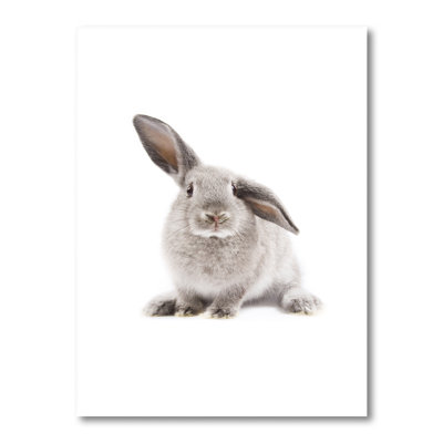 Portrait d'un lapin sur fond blanc II - photographie sur toile