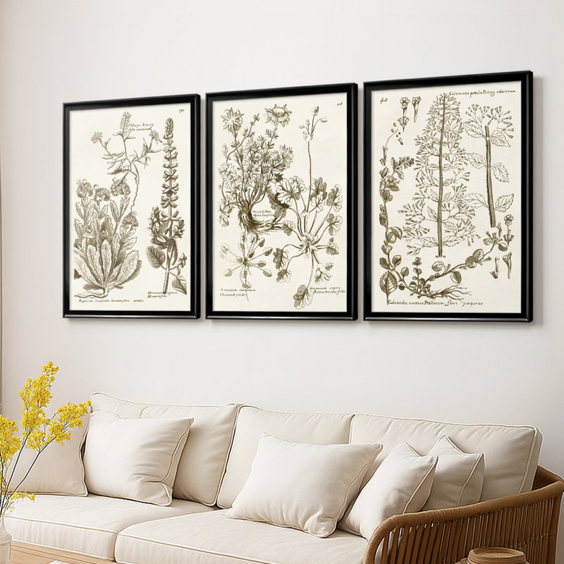 Sepia Botanical Journal IV - Toile tendue avec châssis encadré - 3 pièces, Noir, H 21 po x l 30 po