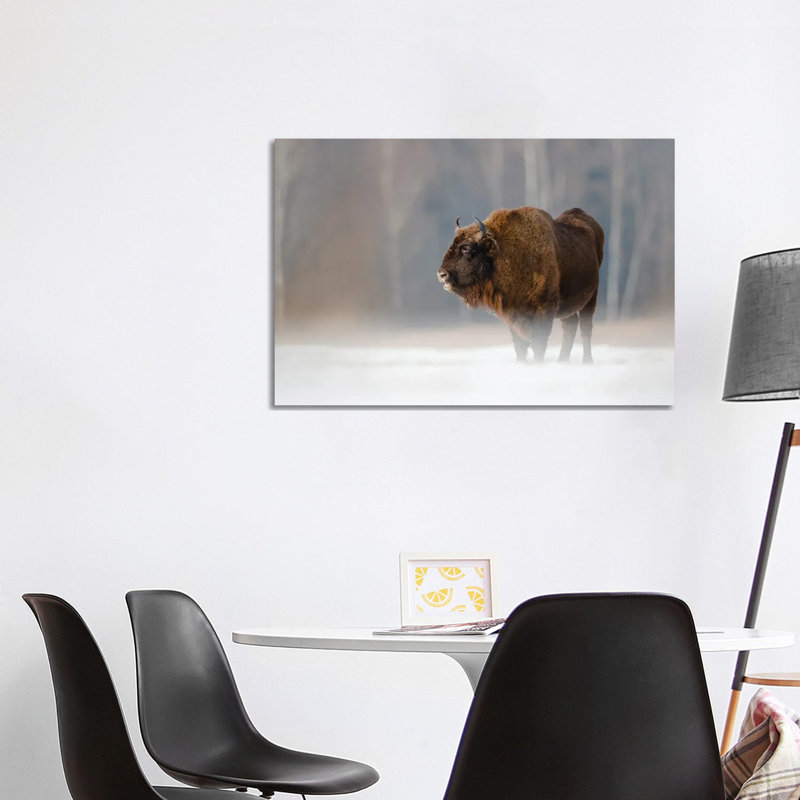 Bison II by Mateusz Piesiak - Wrapped Canvas Print, 101.6 cm H x 66.04 cm W x 3.175 cm D