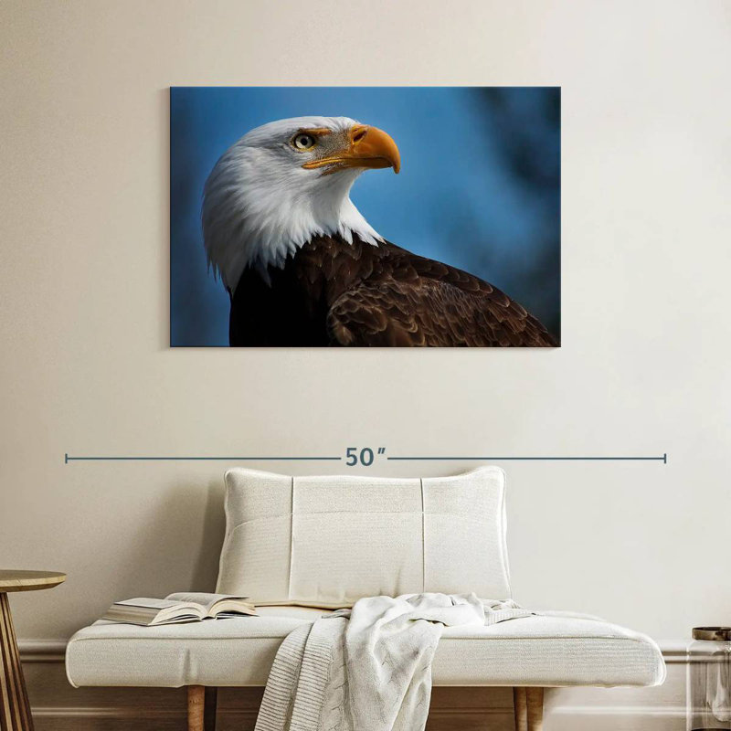 Brampt American Bald Eagle Headshot