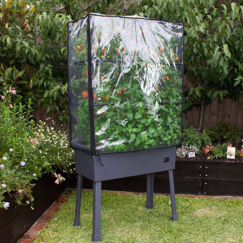 Terrarium, 63" H x 31.5" W x 15.75" D