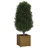 Wood Pot Planter-91895544-91895549-112554442