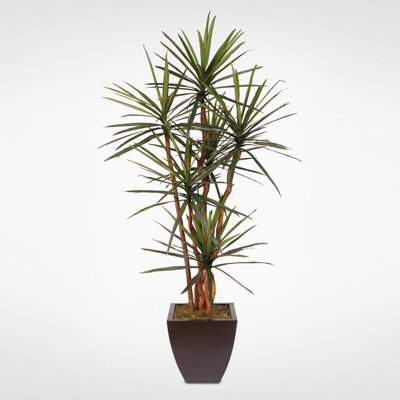 Yucca artificiel en pot