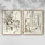 «Sepia Botanical Journal», reproduction encadrée de qualité supérieure - prête à être accrochée - aucun clou requis - aucun clou requis-634959433-634959439