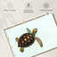 Bébé tortue Brampt-108694120