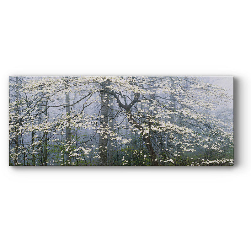 Toile de cornouiller sur toile, H 12 po x l 30 po x P 1,5 po