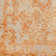 Donavon Oriental Indoor Rug