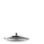 Raindance Downpour Air Rain Shower Head-1160824565