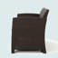 Ensemble de 2 fauteuils club d'extérieur en faux osier brun avec coussins imperméables beiges-866649668