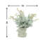 Arrangement floral d'eucalyptus en pot