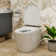Smart Bidet Toilet with Heated Seat, 1.08GPF One-piece Toilet with Auto Flush, Auto Open & Close, Foam Shield, ADA Height, Pump-assisted, Blackout Flush, LED Display
