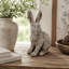 Rustic Resin Bunny Figurine-1505848292