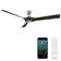 58" Torque 3 - Blade Outdoor/Indoor Smart Ceiling Fan with Remote Control Included, Works With Alexa and iOS or Android App