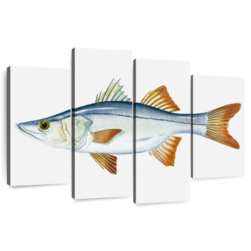 Brampt Snook, 27" H x 43" W