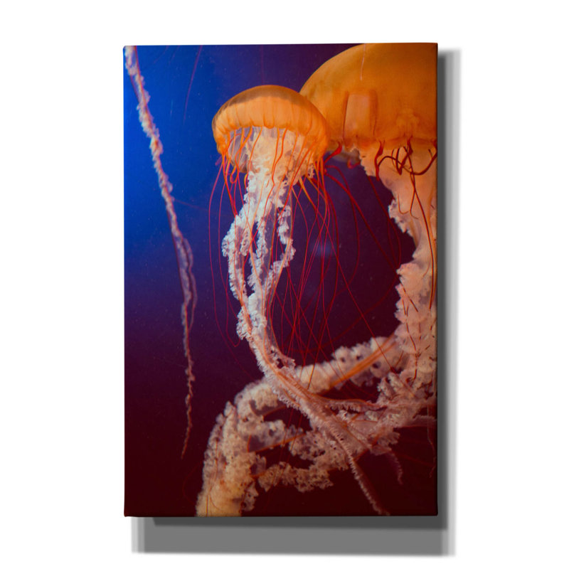 «Jelly 3» par PhotoINC Studio, H 18 po x l 12 po