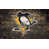 Pittsburgh Penguins