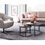 Ixia Coffee Table