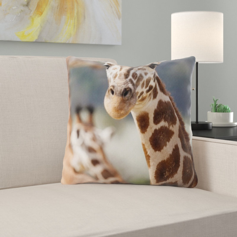 Coussin en afrique