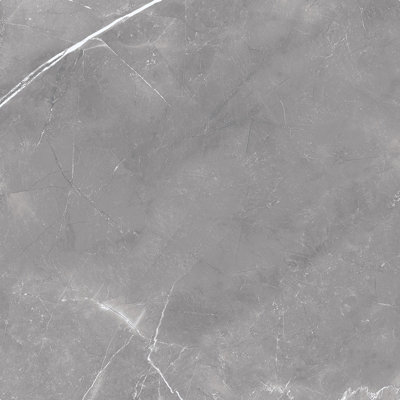 Magi 12" x 24" Matte Tile