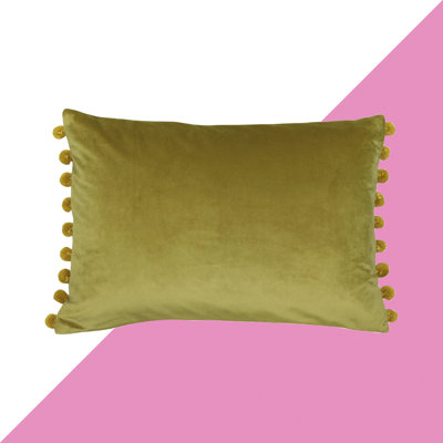 Fiesta Rectangular Scatter Cushion