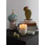 Opuntia Cactus Night Approaches-101945152