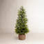 Arbre de Noël blanc avec cyprès 3 pi pré-éclairé