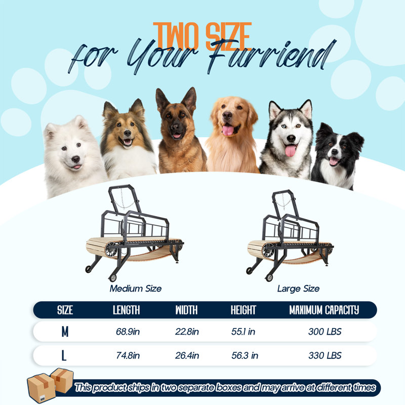 Tapis roulant pour chien avec frein à main - Supporte les chiens jusqu'à 300 lb, L 16 po
