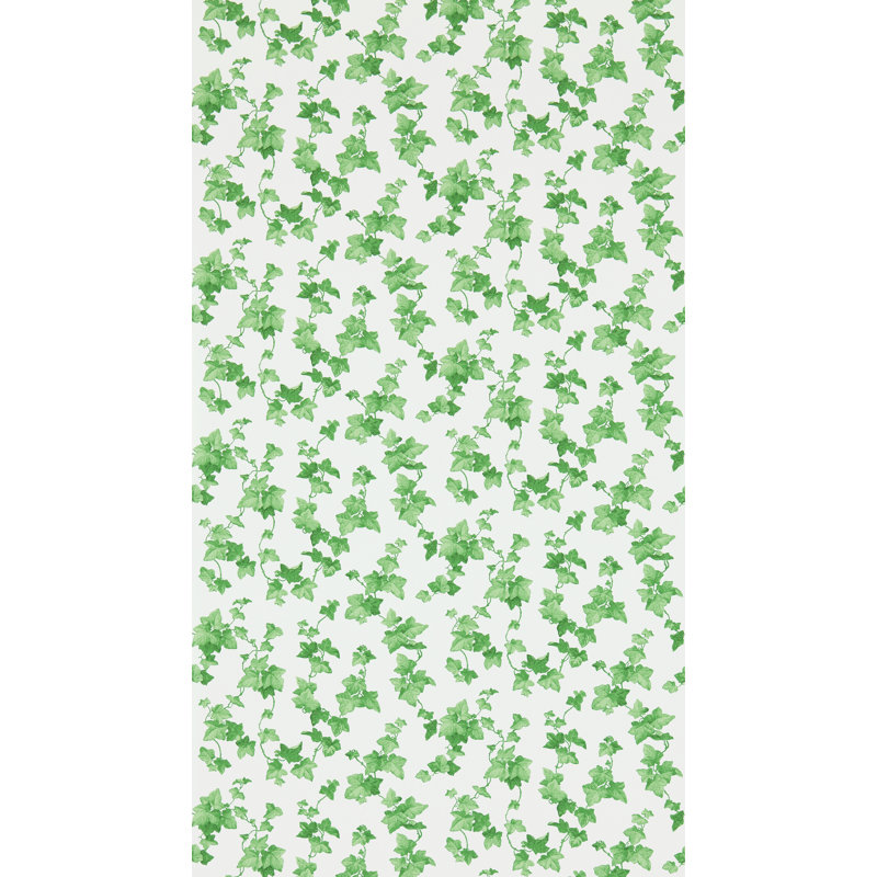 Hedera Wallpaper
