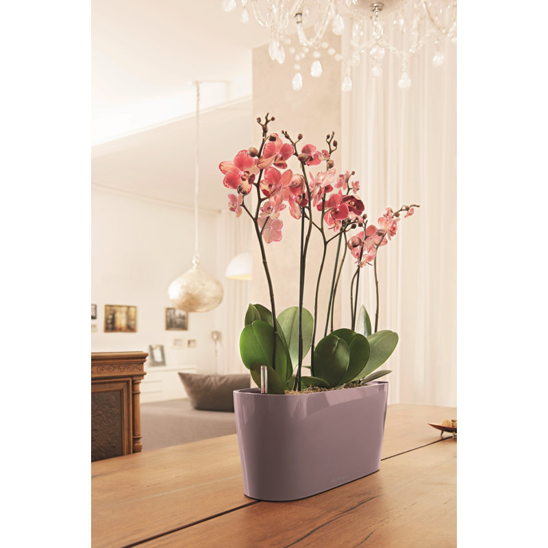 Delta Premium Window Box Planter, 18cm H x 40cm W x 15cm D, White