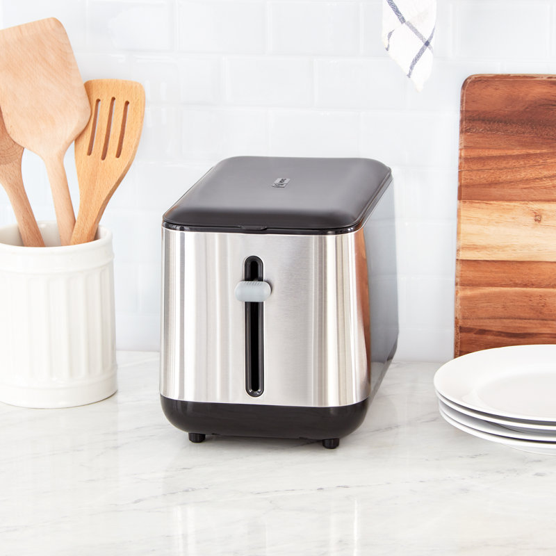 Stainless Steel 2-Slice Long Slot Toaster with Crumb Tray