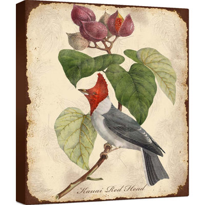 " Vintage Bird Study D "